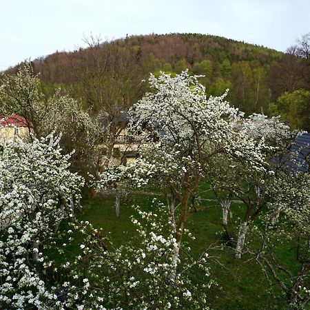Gorski Sad - U Bazyla Piechowice  Exterior foto